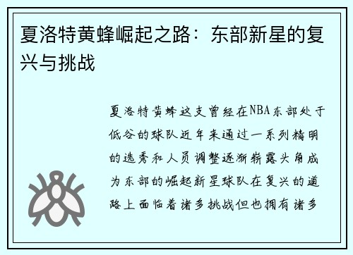夏洛特黄蜂崛起之路：东部新星的复兴与挑战