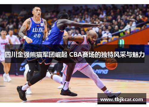 四川金强熊猫军团崛起 CBA赛场的独特风采与魅力